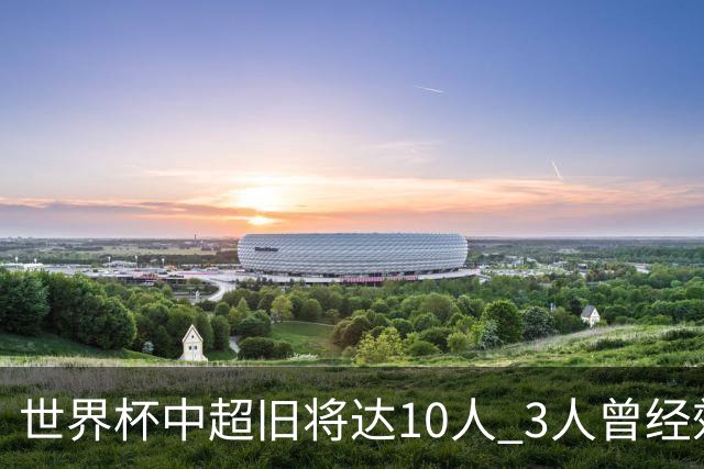 世界杯中超旧将达10人 3人曾经效力国安海港两将