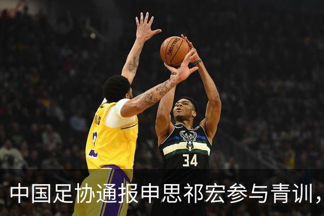 中国足协通报申思祁宏参与青训，重申终身禁赛令并严查准入
