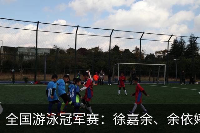 全国游泳冠军赛：徐嘉余、余依婷超亚洲纪录