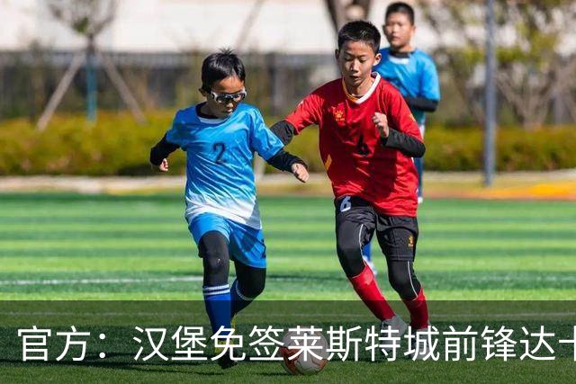 官方：汉堡免签莱斯特城前锋达卡，身披27号球衣，据悉签约2+1年