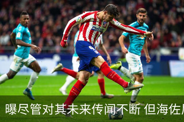 曝尽管对其未来传闻不断 但海佐尼亚下一站仍将加盟NBA球队