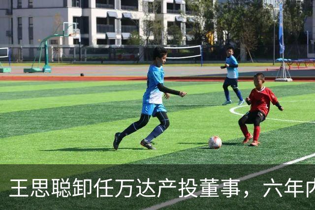 王思聪卸任万达产投董事，六年内已三度退出“万达系”决策层