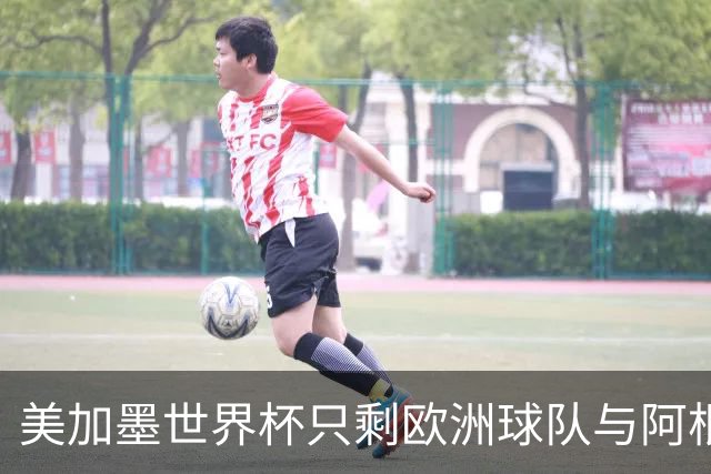 美加墨世界杯只剩欧洲球队与阿根廷队