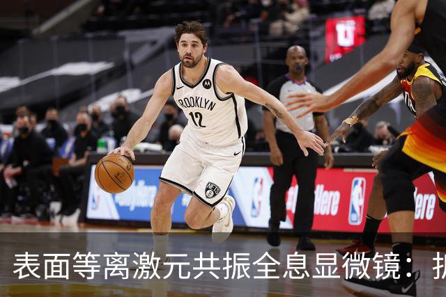 表面等离激元共振全息显微镜：折射率与厚度测量的新突破
