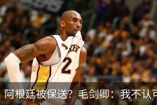 阿根廷被保送？毛剑卿：我不认可，它们一路逆风翻盘