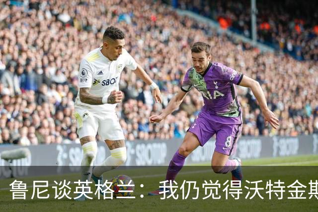 鲁尼谈英格兰：我仍觉得沃特金斯、托尼和梅努可以发挥一些作用