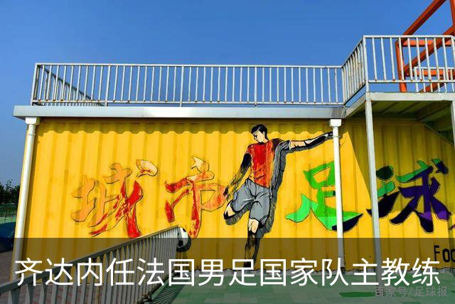 齐达内任法国男足国家队主教练