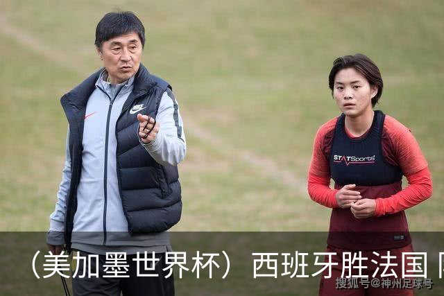 （美加墨世界杯）西班牙胜法国 队史第二次闯入世界杯决赛